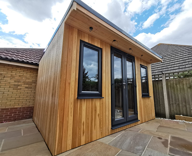 Covid-19 virus image